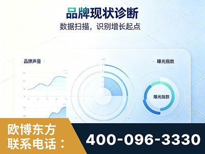 银川-品牌现状诊断