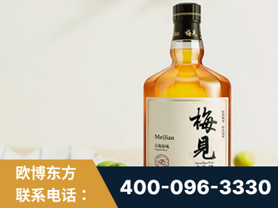 银川-梅见青梅酒